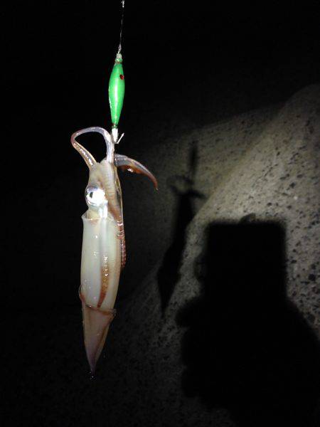 型が大きくなってきた